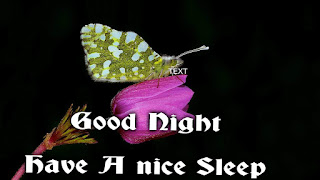 hava a nice sleep