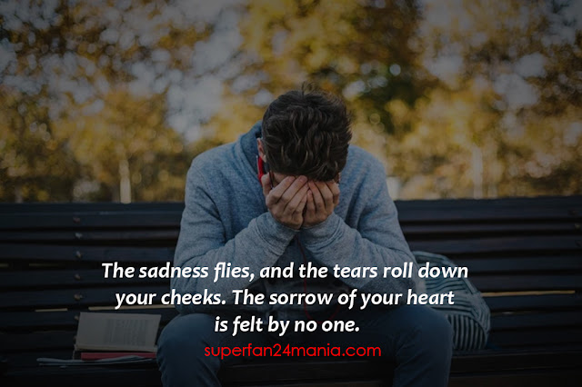 The sadness flies, and the tears roll down your cheeks. The sorrow of your heart is felt by no one.