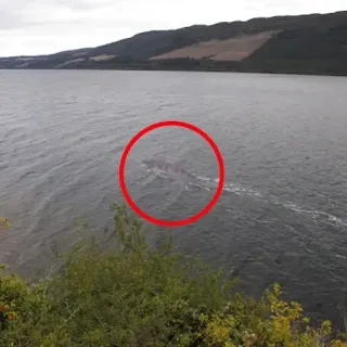 foto real Monstruo del lago ness Avistamientos