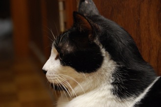 DSC 0002