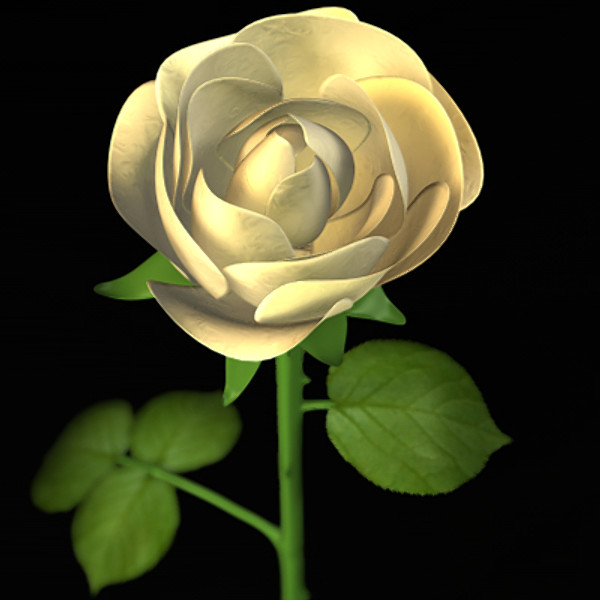 3D Rose Flowers Wallpapers Free Download