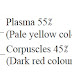 Process of blood circulation - Biological processes in human body