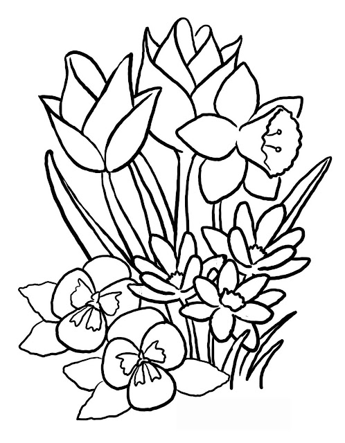 coloriages fleurs