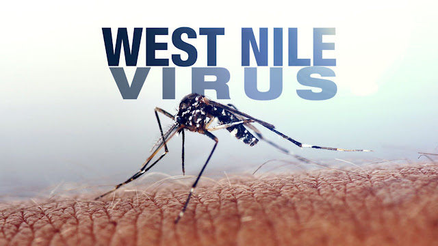 West Nile Virus Market