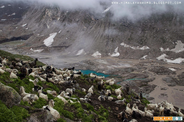 Self supported trekking, Rohit kalyana