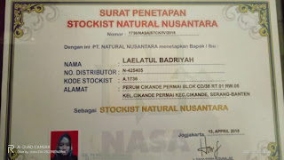 cara beli nstm nasa original