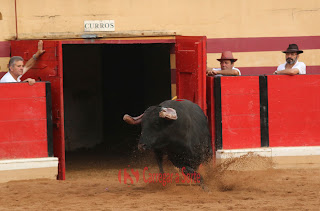 Feira Taurina de Abiul 2024 com cartéis rematados.