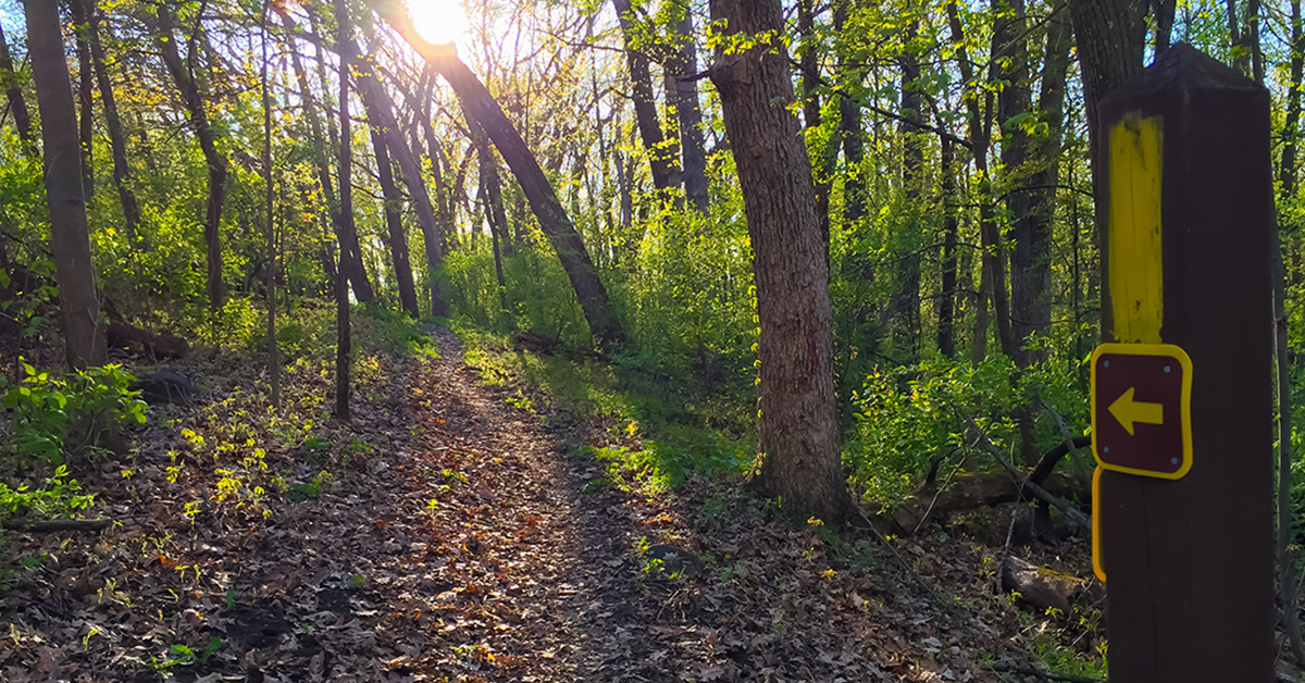 Trail Banner