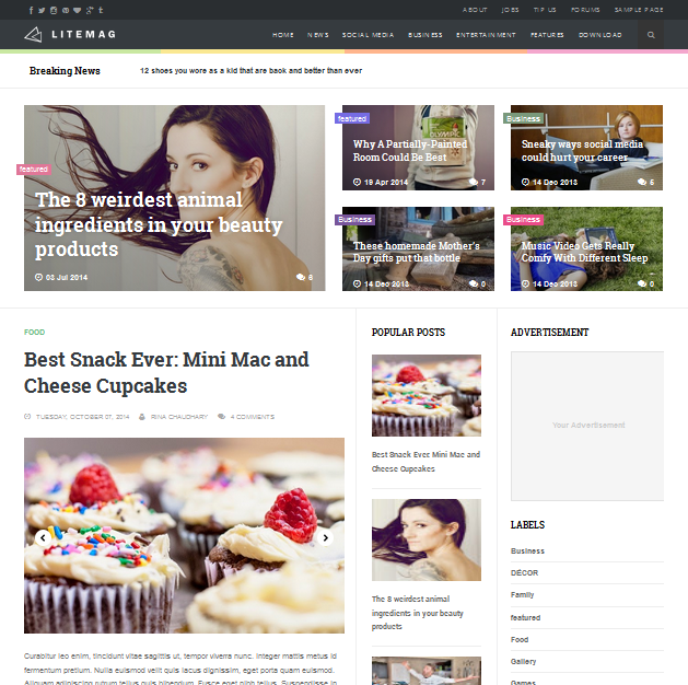 Litemag blogger template