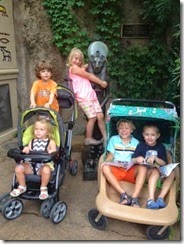 zoo9