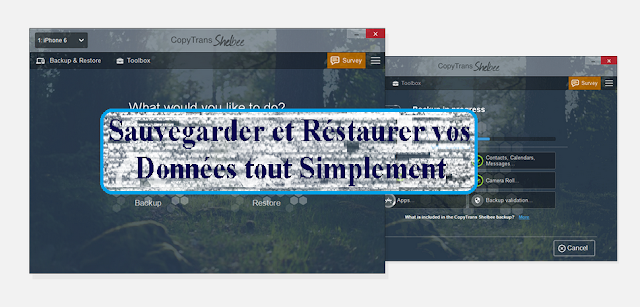 shelbee sauvegarder et réstaurer vos données iphone