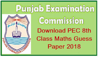 PEC 8th Class Math Guess Paper 2018