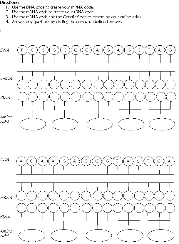 Mike S Online Biology Mob University Bio 105 106 Lesson 2 Rna To