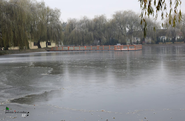 slupia-jedrzejowska-staw-park-wierzby