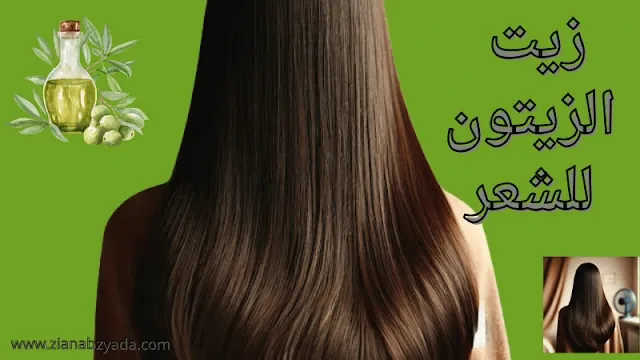 زيت الزيتون لتطويل الشعر وتنعيمه بشكل طبيعي وفعّال خلال أيام