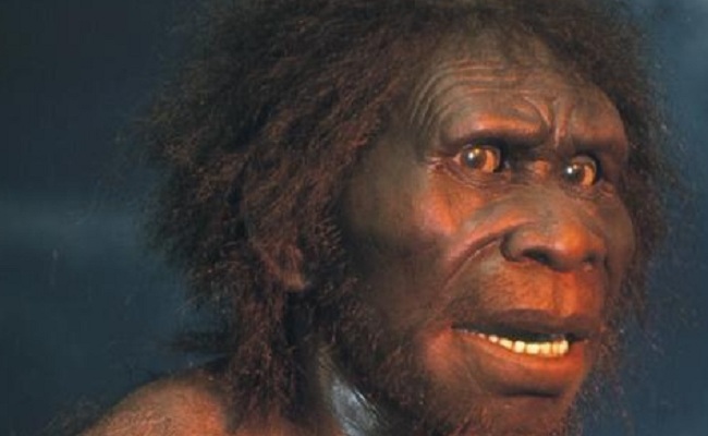 Ciri ciri Sinanthropus lantianensis Homo erectus 