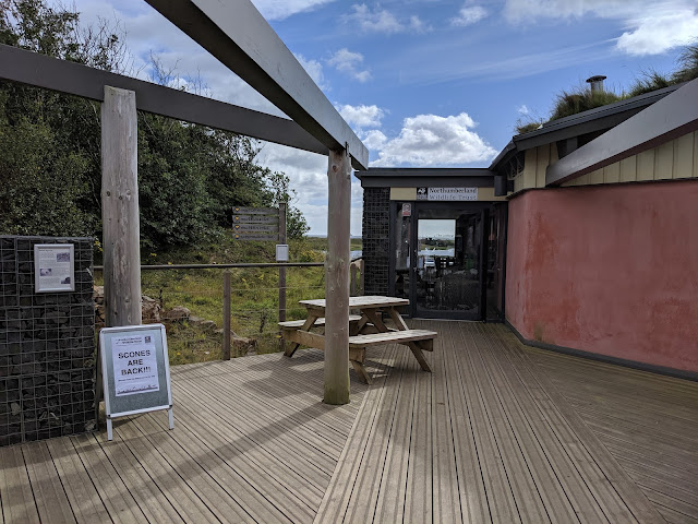 15 FREE Days Out with a Baby or Toddler - Hauxley Nature Reserve