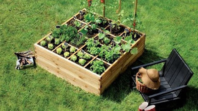 6 Ide Membuat Kebun Sayur Mini di Rumah, Bisa Menghemat Uang Belanja!