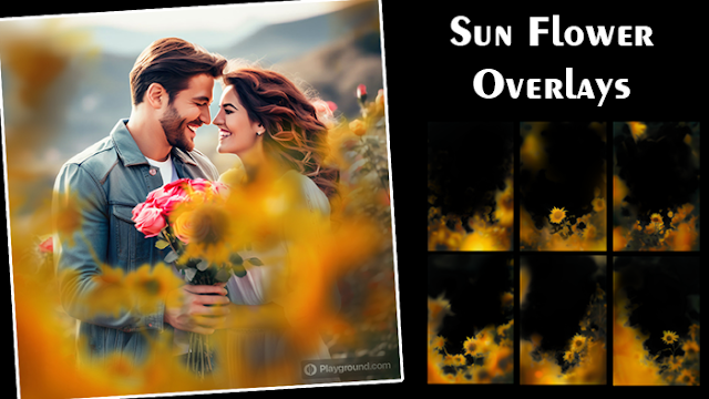 Sun Flower Overlays for Photo Editing