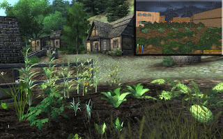 daggerfall remake,daggerfall unity remake,daggerfall graphics overhaul,arena remake,daggerfall improved graphics,daggerwind,daggerfall xl,daggerfall morrowind,skyrim daggerfall mods