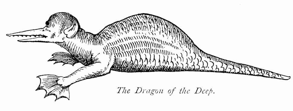 1642 Dragon of the Deep, an illustration of a sea cow or walrus