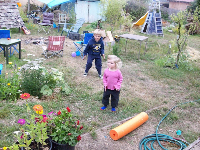 Backyard, September, 2008