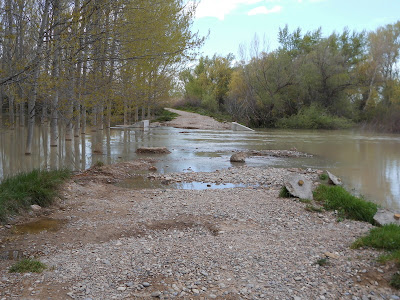 Camino Alfranca Ebro inunda