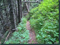 DSCN3629