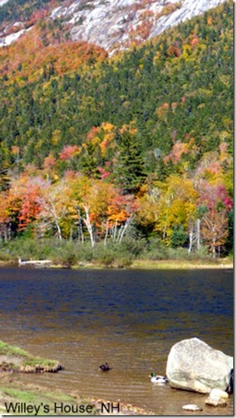 Willey's House, NH