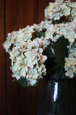 hydrangeas 31 days to better photo ISO 200