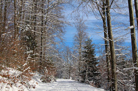 Nordschwarzwald - Winter