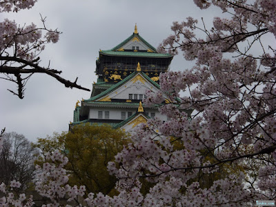 大阪城と桜