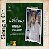 Mere Baad Kisko Sataoge| Basit Naeemi | Download Mp3 Song Free | HisunMusic.PK