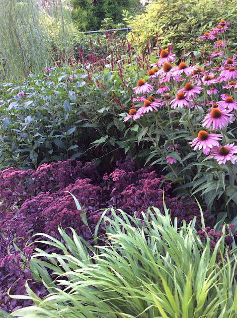 Piet Oudolf border