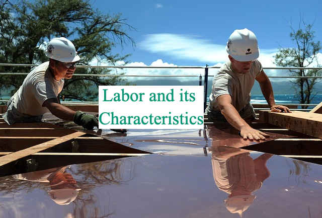 labor-and-its-characteristics