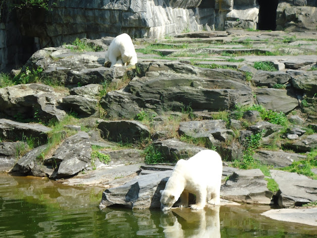 Tierpark Berlin