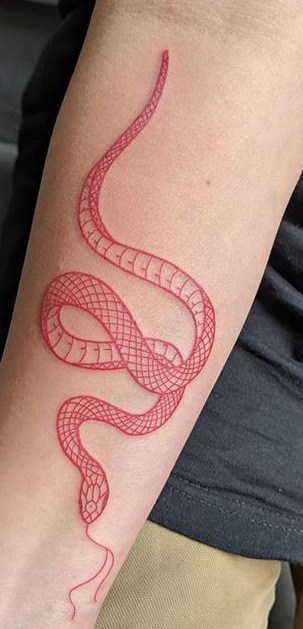 Tatuagem de Cobra - 156 ideias femininas para inspirar vocês