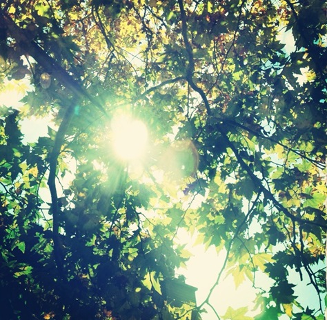 Day 27 - Into the sun