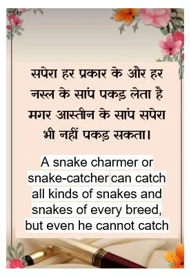 life quote