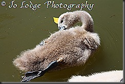 IMG_6141