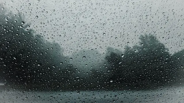 "As Tempestades, às vezes, chegam para levar embora tudo aquilo que estava com as Raízes Fracas."