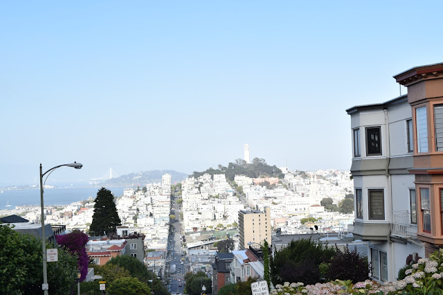 view from Lombard street of Coit Tower