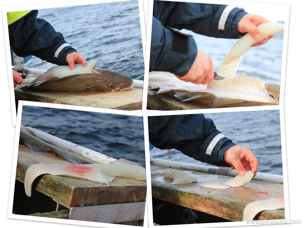 Chiara Maci: Isole Lofoten. La mia prima pesca di merluzzi.