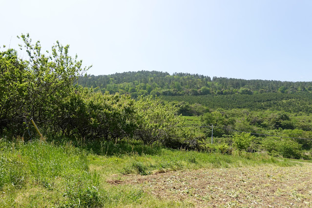 鳥取県西伯郡大山町長田 農道からの眺望