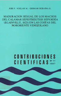 UDONE - Contribuciones Cientificas No 11 - Maduración Sexual de Los Machos del Calamar x José  Voglar y Germán Robaina
