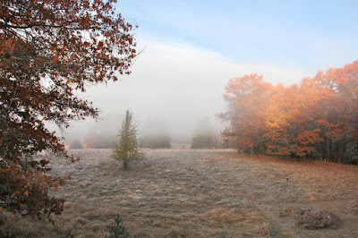 foggy October morning