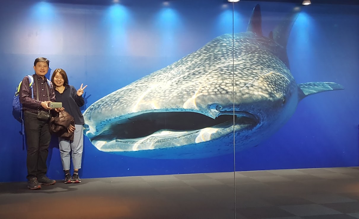 Osaka Aquarium Kaiyukan