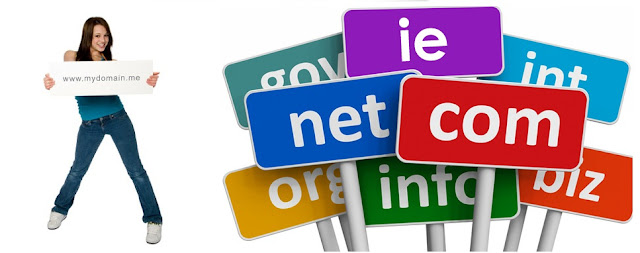 What is a Domain Name format ?