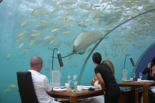 Under Water Restaurant [Ritemail.blogspot.com]