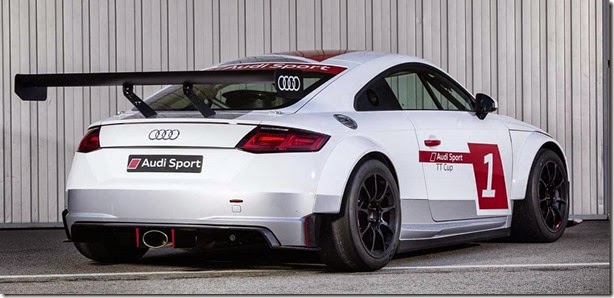 Audi TT de corrida (2)